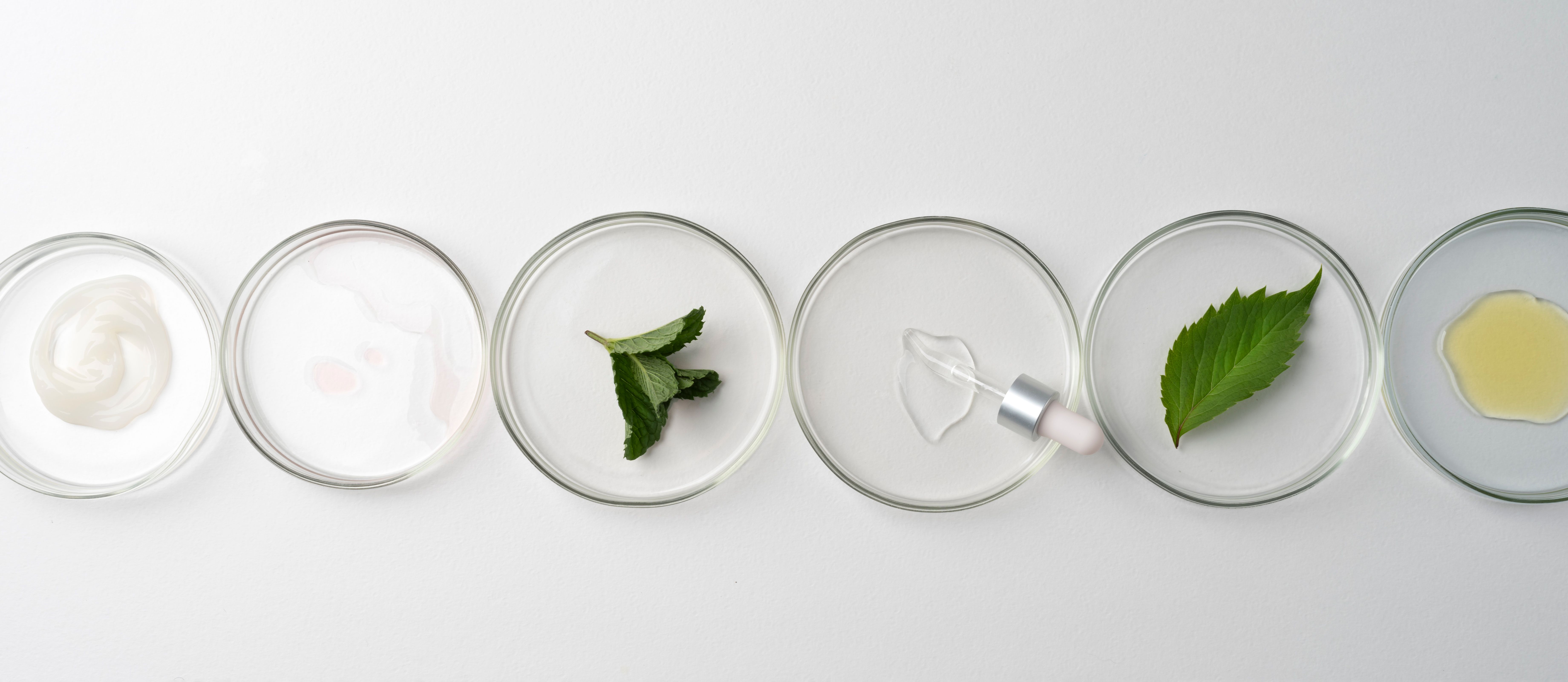 minimalistic-science-banner-with-sample (1).jpg